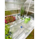 Mini serre de jardin double 120x120 cm STRETTO Blanc CITY GARDEN