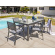 Table salon de jardin extensible en alu/verre pour 12 personnes DCB Garden TOLEDE gris anthracite