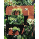 Jardinière en corten bruni QUERINI - TrackDesign par Alessandra Savio