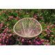 Fauteuil salon de jardin en polyéthylène empilable Acapulco