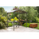 Abri de barbecue en aluminium et polycarbonate DCB Garden - Anthracite