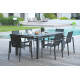 Table salon de jardin extensible en aluminium pour 8 personnes DCB Garden MIAMI