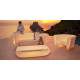 Fauteuil de jardin BUM-BUM led blanc par Eugeni Quitllet - Vondom