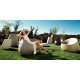 Table de jardin STONE basic par Stefano Giovannoni & Elisa Gargan - Vondom