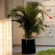Pot de fleur 120x120x100 STUDIO PLANTERS simple par Studio Vondom - Vondom