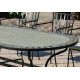 Ensemble table MONTECARLO et fauteuils de jardin SHIFA 8 personnes HEVEA en acier et Dralon