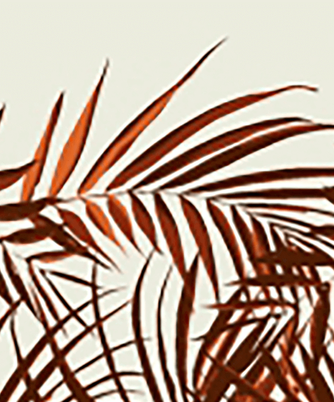 Palme Brique